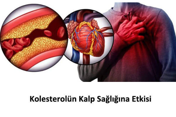 Kolesterol' ün Kalp Sağlığına Etkisi