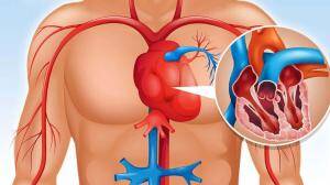 Pulmoner Kapak Ameliyatı Neden Önemlidir