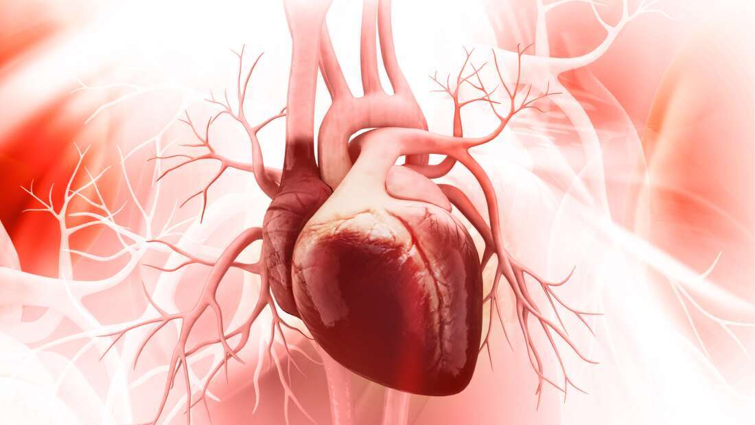 What is Heart Valve Surgery?