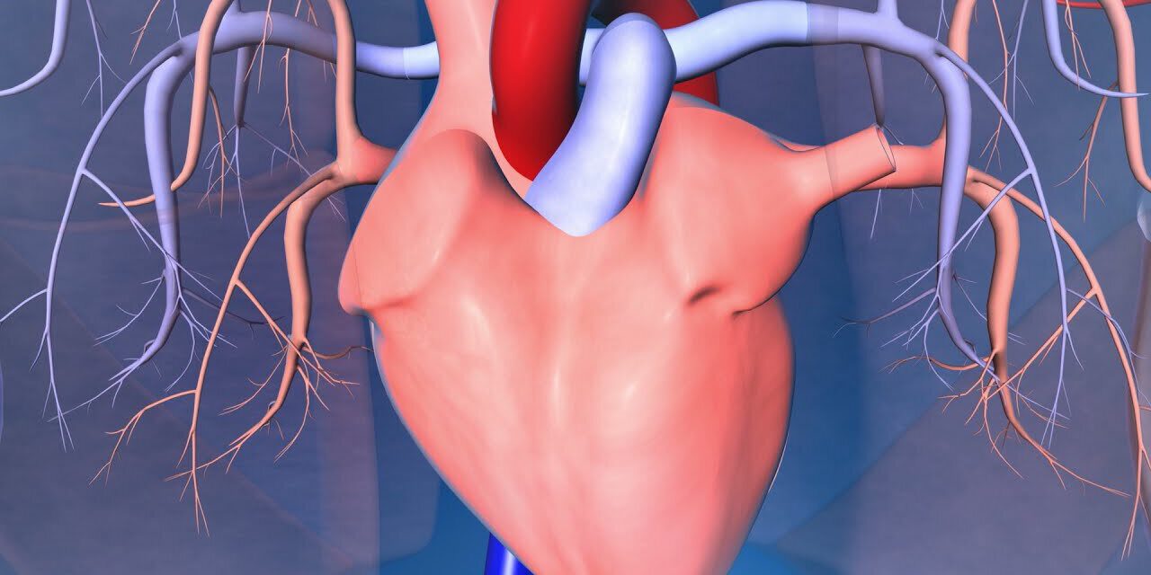 Tricuspid Valve Surgery