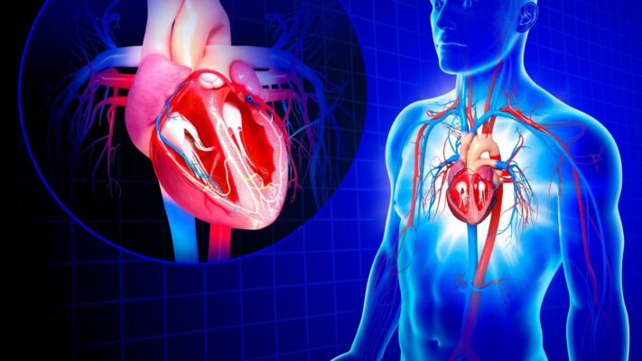 Ameliyatsiz Kalp Kapagi Degisimi TAVI