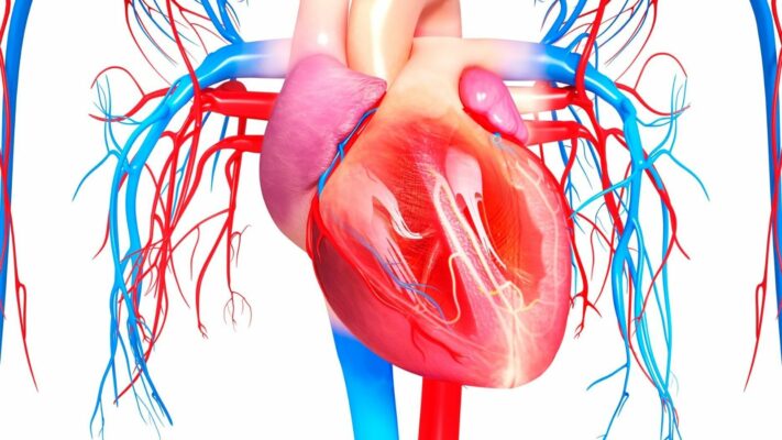 Kalp Damar Plagi Nedir