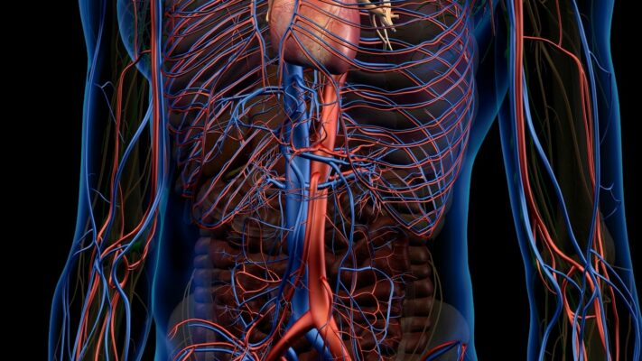 Torasik Aort Anevrizmasi Belirtiler ve Tedavi Yontemleri 1