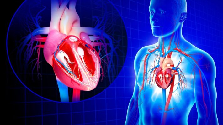 Protez Kapak Endokarditi