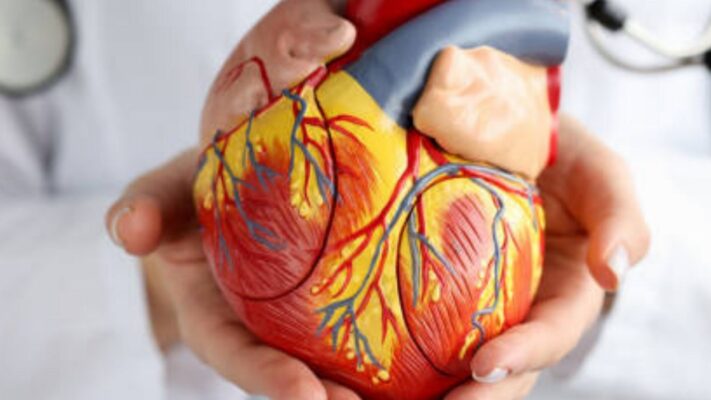 Sol Ana Koroner Arter Hastaligi