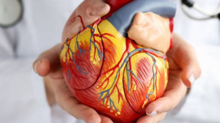 Kalp kapakcigi vucutta ne ise yarar Kalp kapakciginda sorun varsa ne olur